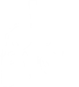Lung outline